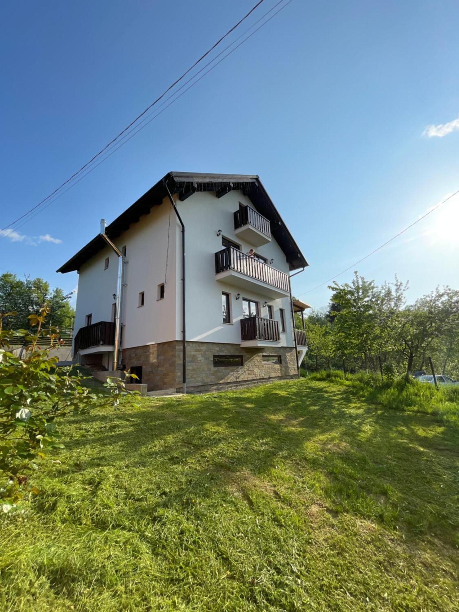 Hotel Vila Hojda Moisei Zewnętrze zdjęcie